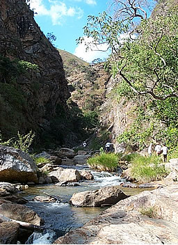 Cachoeira do Lobo - Capitólio/MG