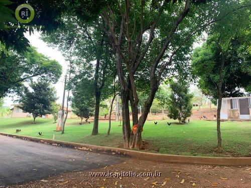 Rancho para Alugar em Brisas do Lago