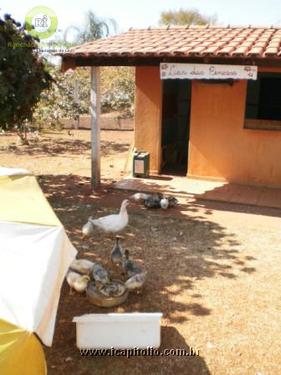 Hotel/Pousada para Vender em Lago de Furnas