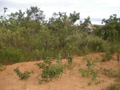 Lote para Vender em Ponta do Sol