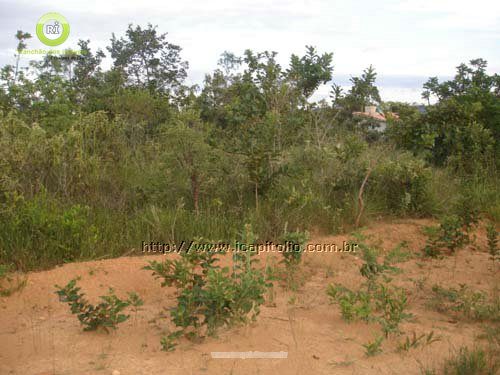 Plot for Sale in Ponta do Sol - Foto 16